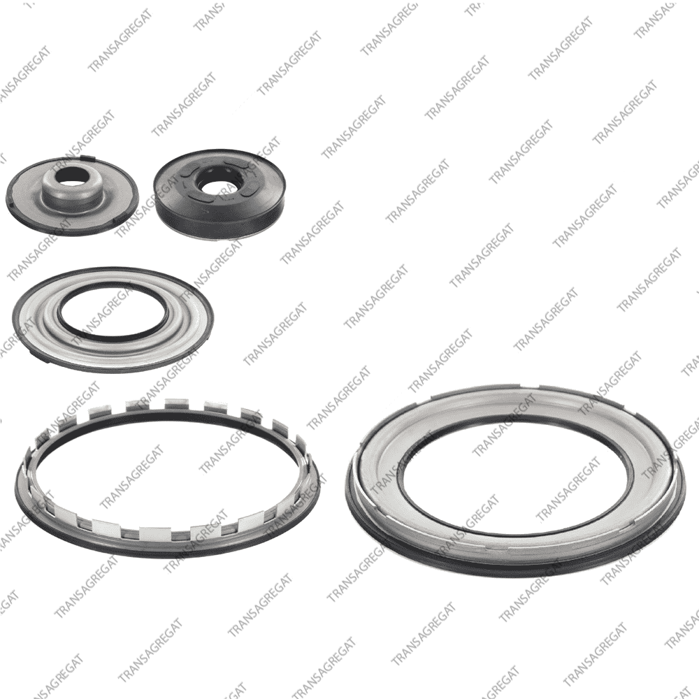 Комплект поршней (5шт., обрезиненные)