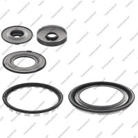 Комплект поршней (5шт., обрезиненные)