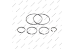 Комплект уплотнительных колец (6шт.)* Комплект уплотнительных колец (6шт.)*